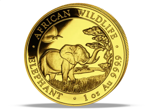 Zdjęcie przodu monety Somalijski Słoń